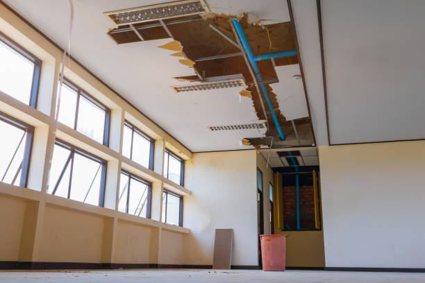 Best Water damage restoration cost  in Bismarck, MO