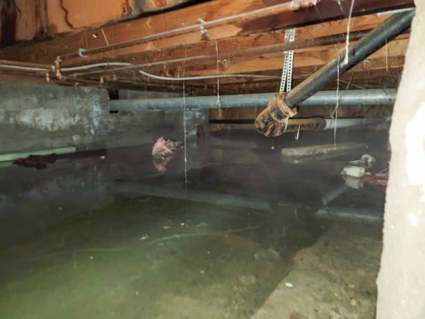 Trusted Bismarck, MO Water damage restoration Experts