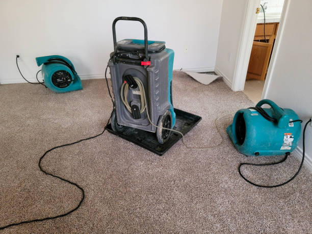 Best Sewage cleanup and water damage restoration  in Bismarck, MO