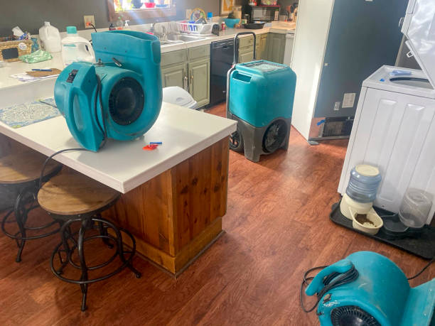 Best Mold removal after water damage  in Bismarck, MO