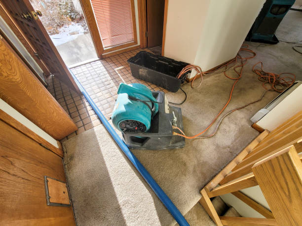 Water damage restoration insurance claims in Bismarck, MO