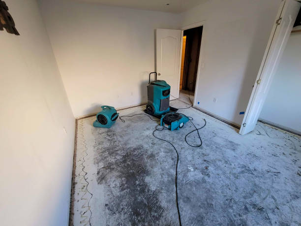 Best Water damage contractors near me  in Bismarck, MO