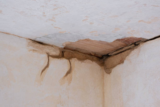 Best Mold removal after water damage  in Bismarck, MO