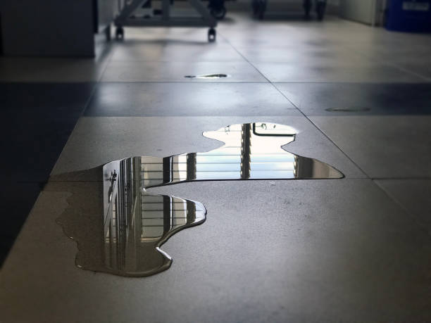 Best Local water damage restoration  in Bismarck, MO