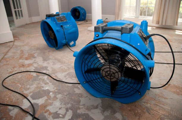 Best 24-hour water damage restoration  in Bismarck, MO