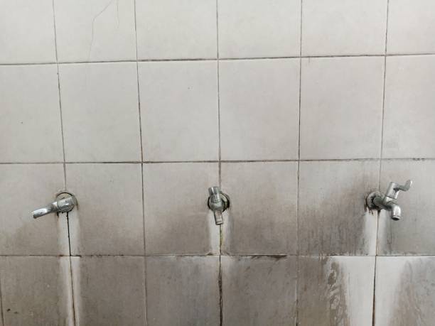 Best Water damage restoration near me  in Bismarck, MO
