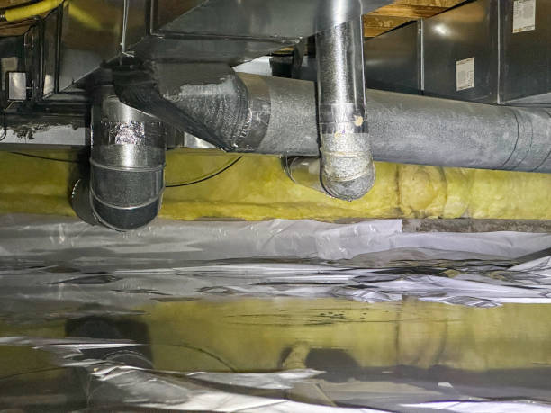 Best Fire Damage Restoration  in Bismarck, MO