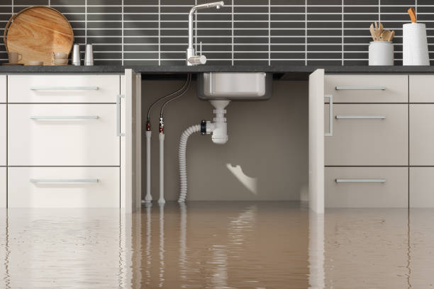 Best Water damage cleanup near me  in Bismarck, MO