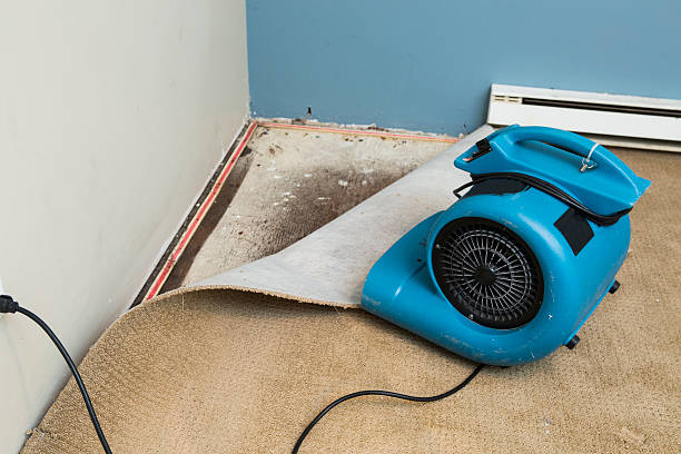 Best Water damage restoration near me  in Bismarck, MO